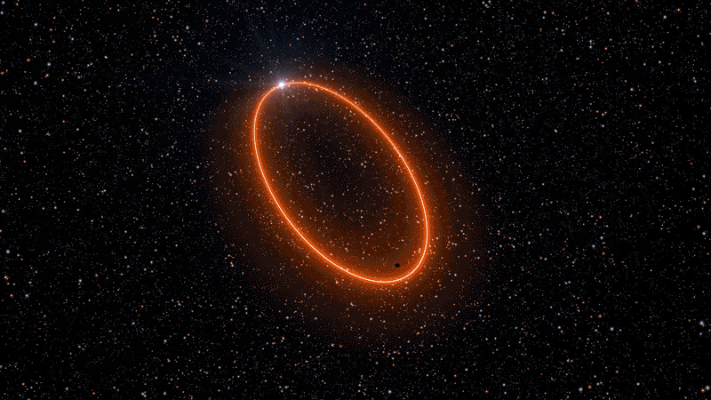 Precessing orbit of the star S2