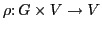 $\rho \colon G \times V \to V$