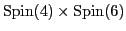 ${\rm Spin}(4) \times {\rm Spin}(6)$