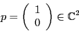 \begin{displaymath}p = \left( \begin{array}{c} 1 \\ 0 \end{array} \right) \in {\mathbb{C}}^2 \end{displaymath}