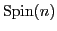 ${\rm Spin}(n)$