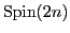 ${\rm Spin}(2n)$