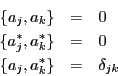 \begin{eqnarray*}
\{ a_j, a_k \} & = & 0 \\
\{ a_j^*, a_k^* \} & = & 0 \\
\{ a_j, a_k^* \} & = & \delta_{jk}
\end{eqnarray*}