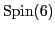 ${\rm Spin}(6)$