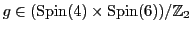 $g \in ({\rm Spin}(4) \times {\rm Spin}(6))/{{\mathbb{Z}}_2}$