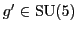$g' \in {\rm SU}(5)$